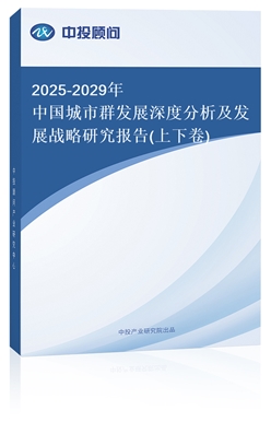 2018-2022年中國城市群發(fā)展深度分析及發(fā)展戰(zhàn)略研究報告