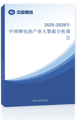 2025-2029Ї늳خa(chn)I(y)(sh)(j)(bo)