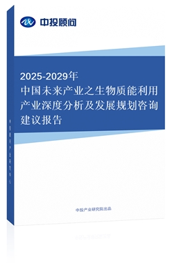 2018-2022年中國生物質能利用產業(yè)深度分析及發(fā)展規(guī)劃咨詢建議報告(上下卷)